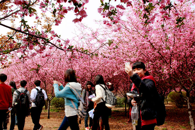 鄭州大學(xué)景色